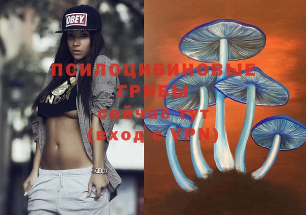 мяу мяу мука Алексеевка
