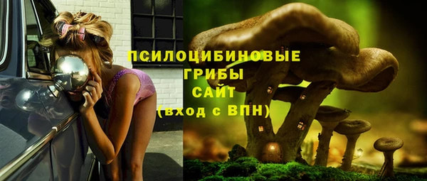прущие грибы Алексин