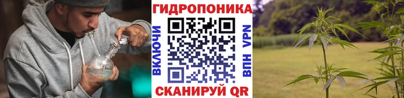 МАРИХУАНА AK-47  Дно 